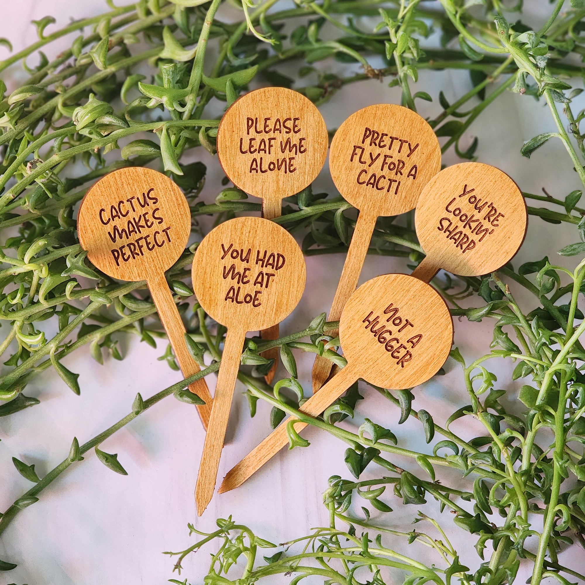 Circle Shaped Funny Succulent Plant Markers – Gems & Timber