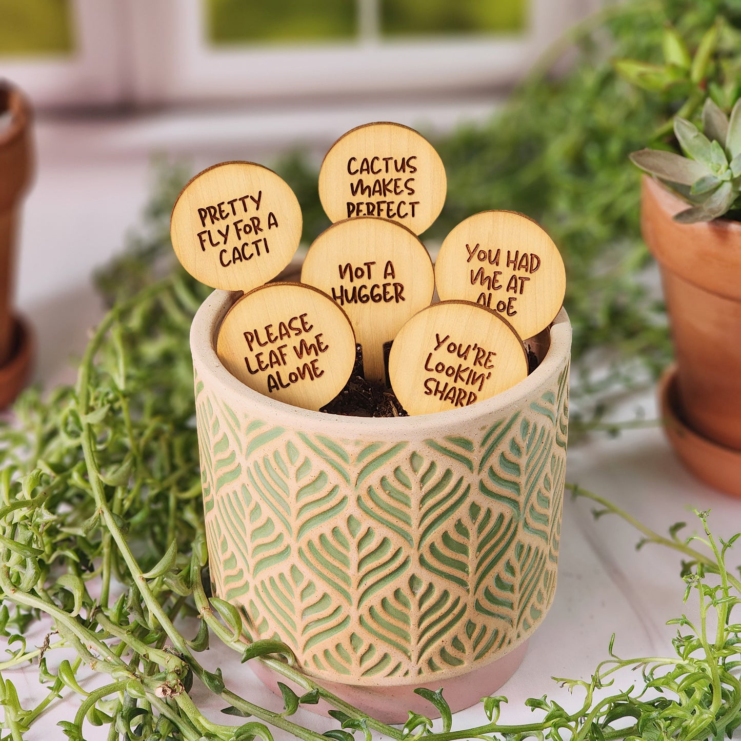 Circle Shaped Funny Succulent Plant Markers