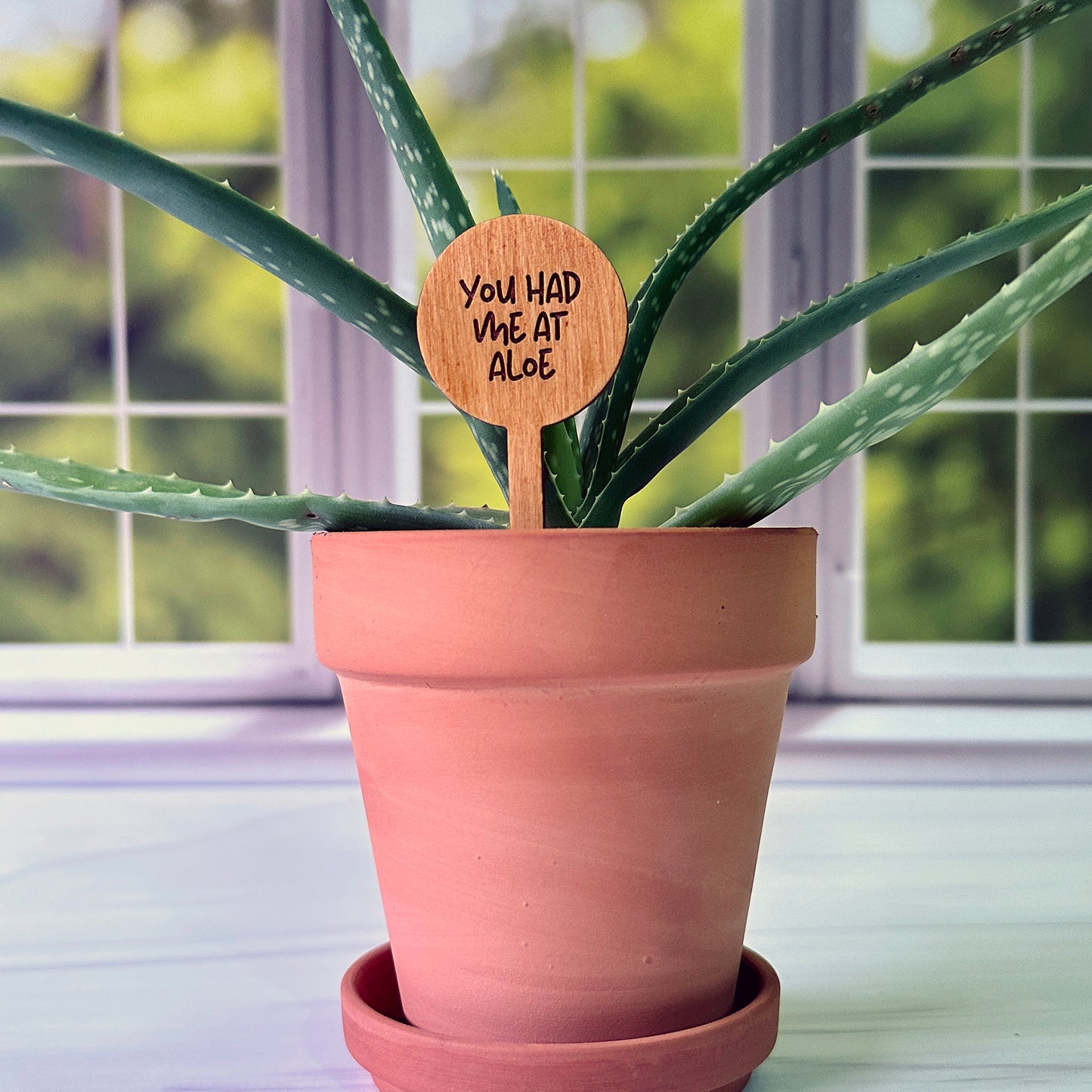 Circle Shaped Funny Succulent Plant Markers