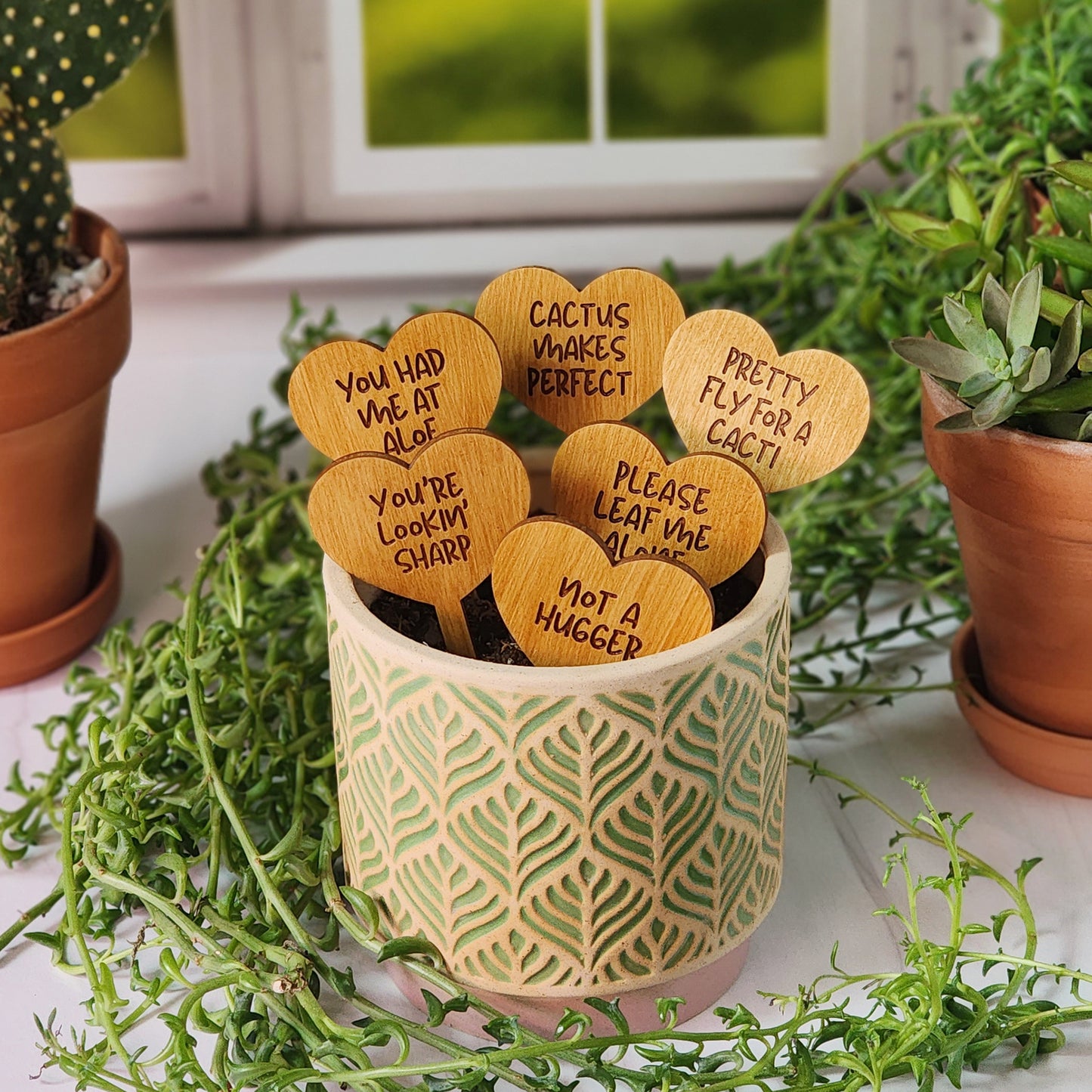 Heart Shaped Funny Succulent Plant Markers