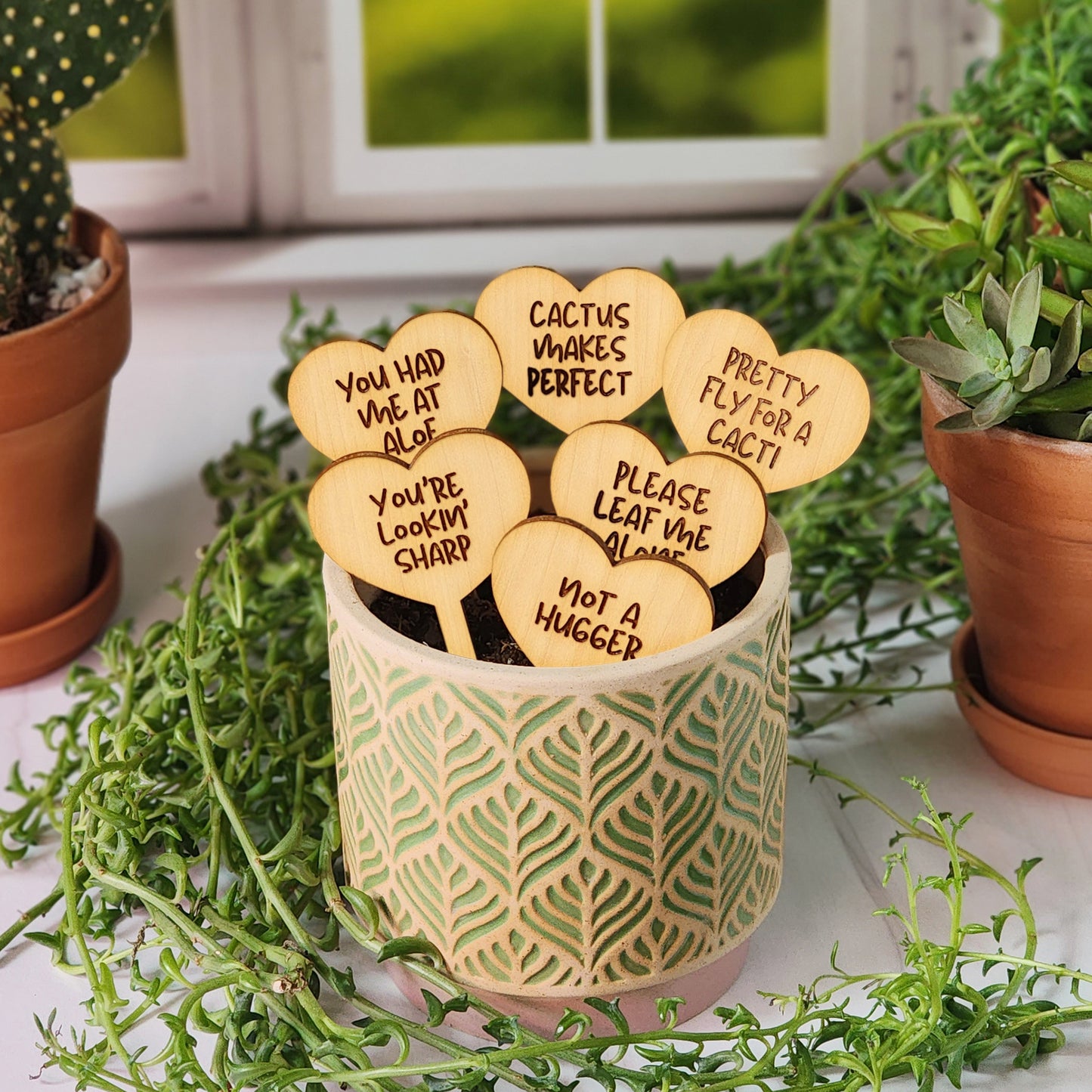 Heart Shaped Funny Succulent Plant Markers