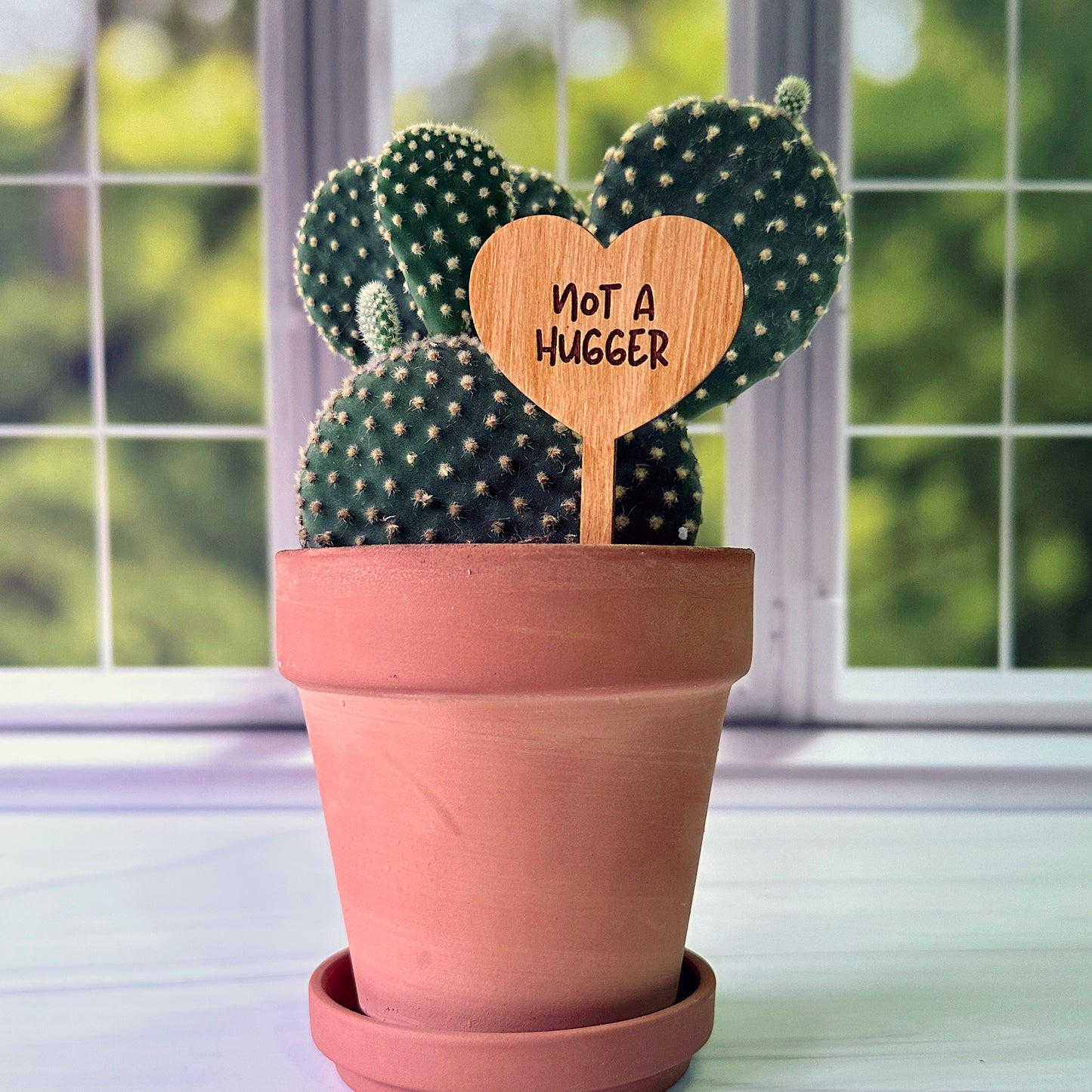 Heart Shaped Funny Succulent Plant Markers