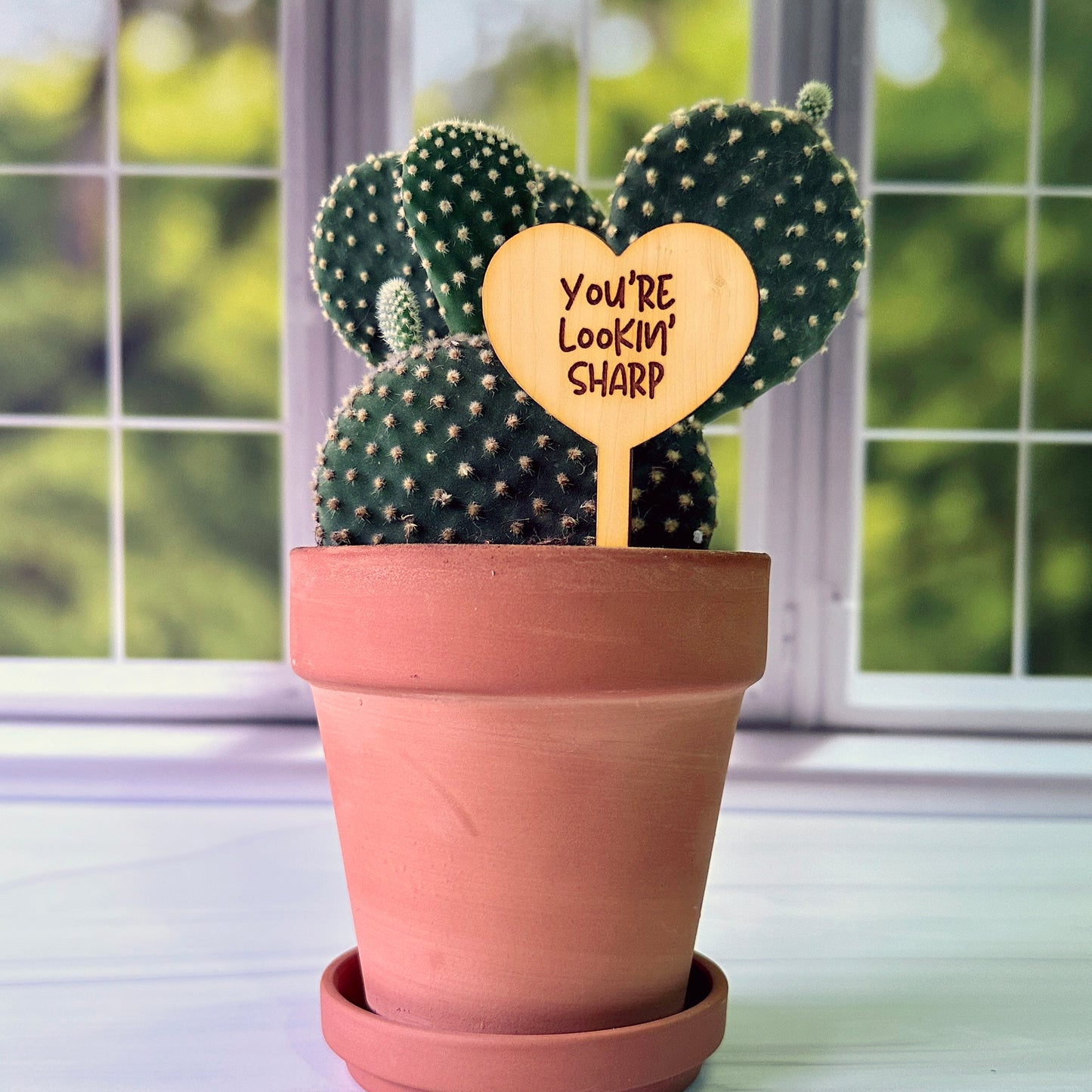 Heart Shaped Funny Succulent Plant Markers