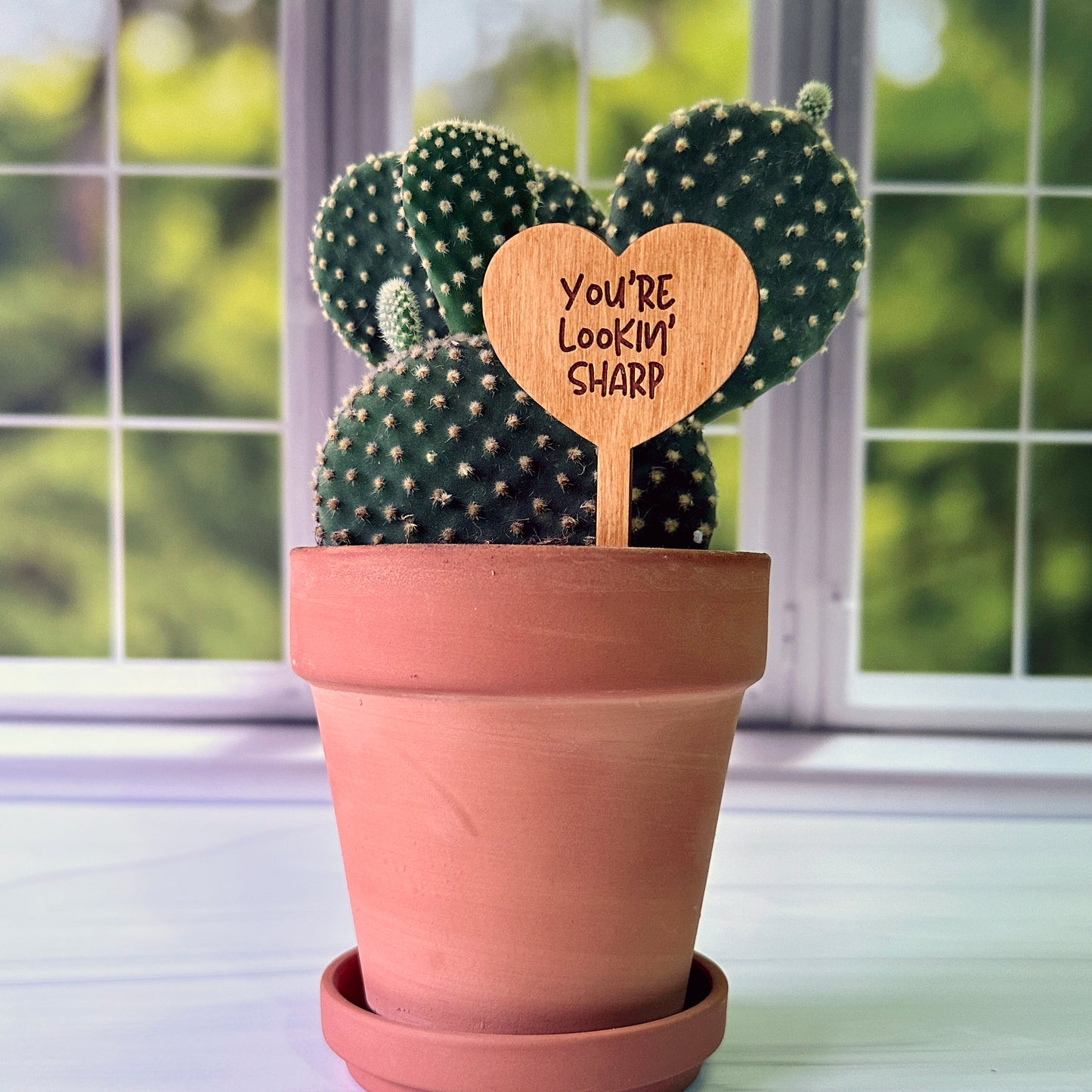 Heart Shaped Funny Succulent Plant Markers