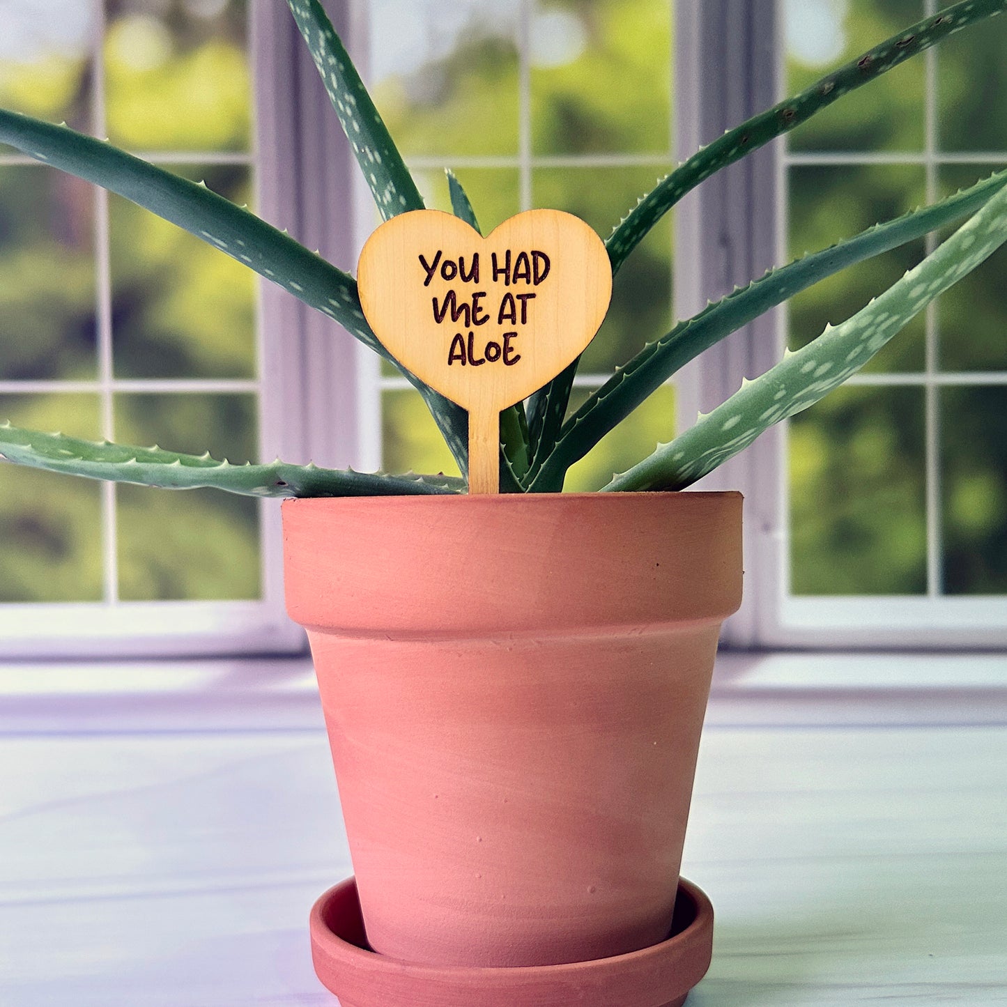 Heart Shaped Funny Succulent Plant Markers