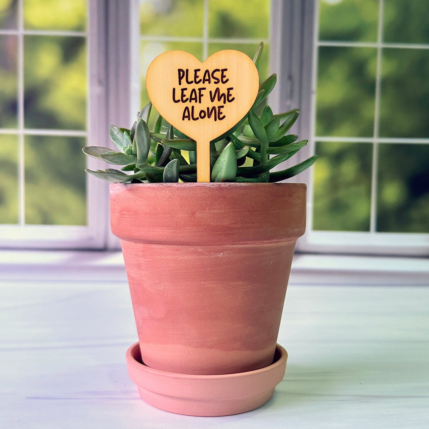 Heart Shaped Funny Succulent Plant Markers