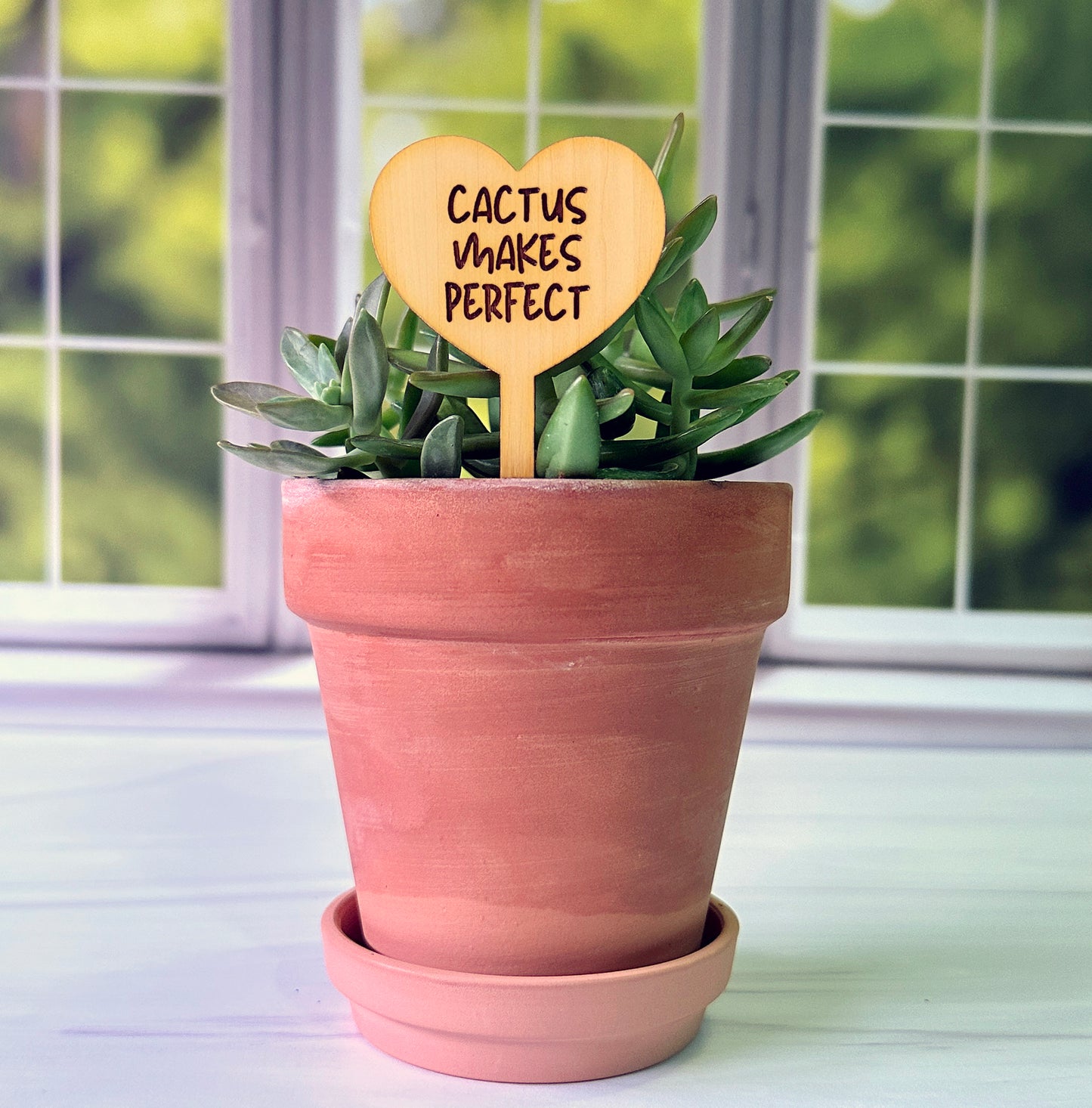 Heart Shaped Funny Succulent Plant Markers
