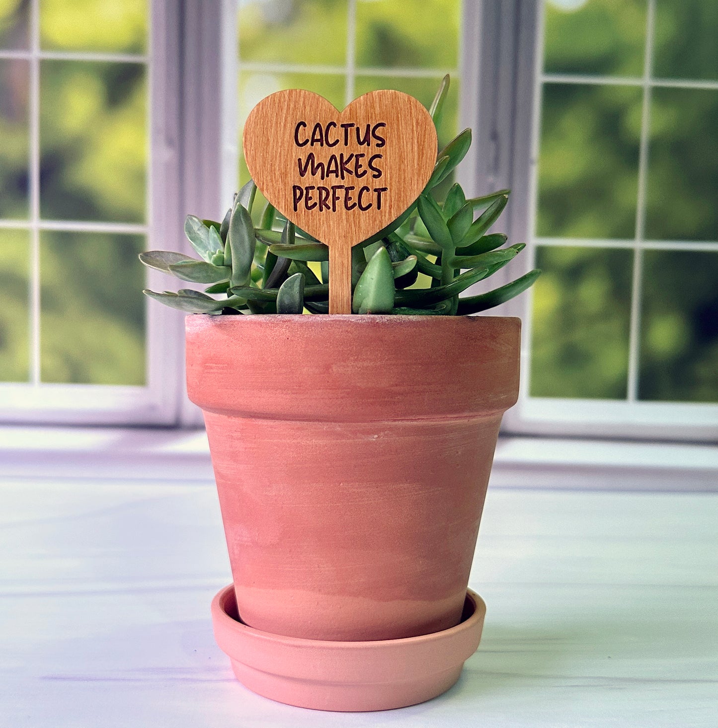 Heart Shaped Funny Succulent Plant Markers