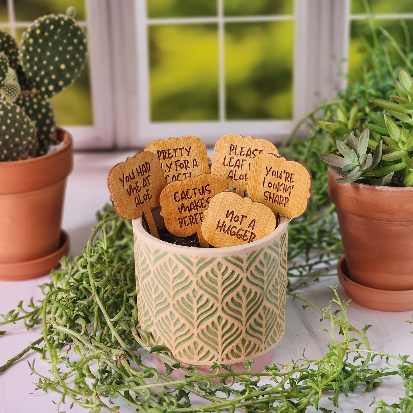 Ornate Shaped Funny Succulent Plant Markers