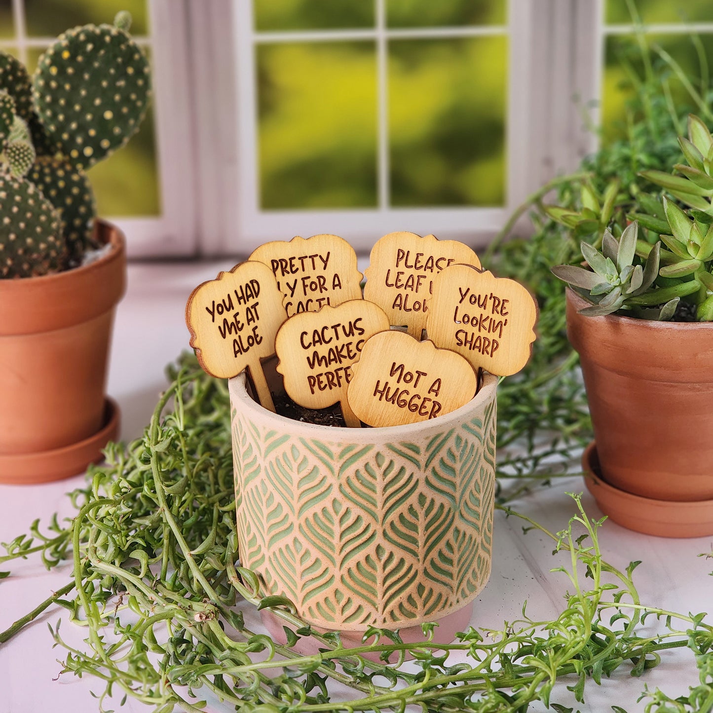 Ornate Shaped Funny Succulent Plant Markers