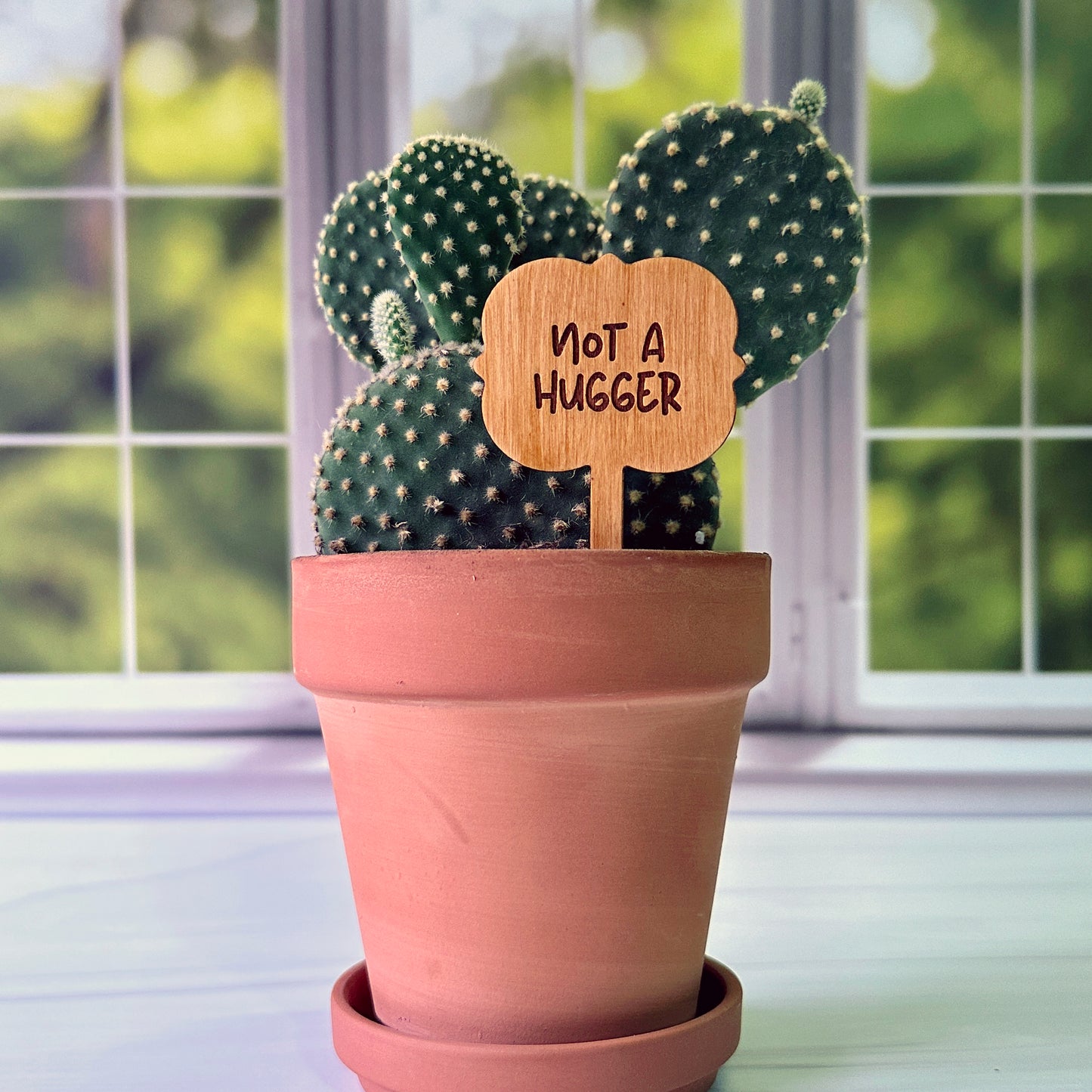 Ornate Shaped Funny Succulent Plant Markers