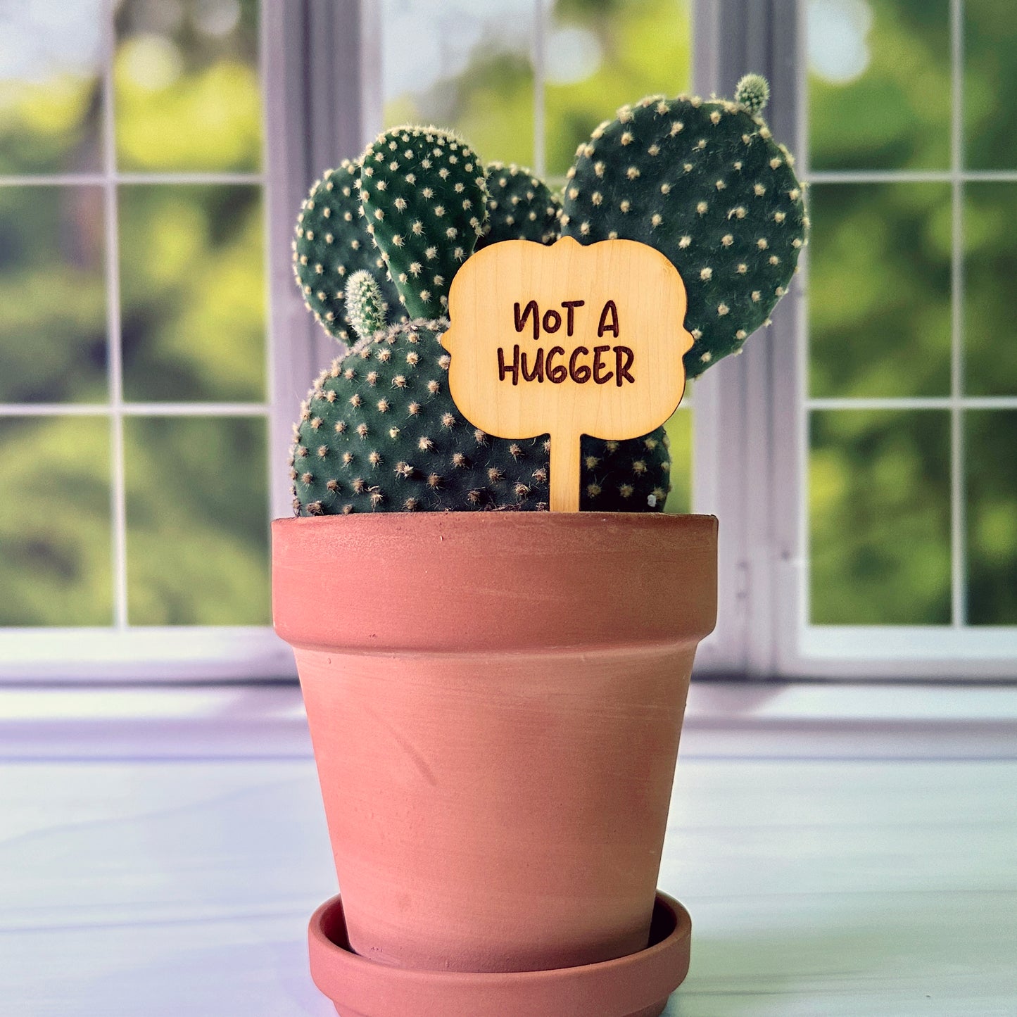 Ornate Shaped Funny Succulent Plant Markers