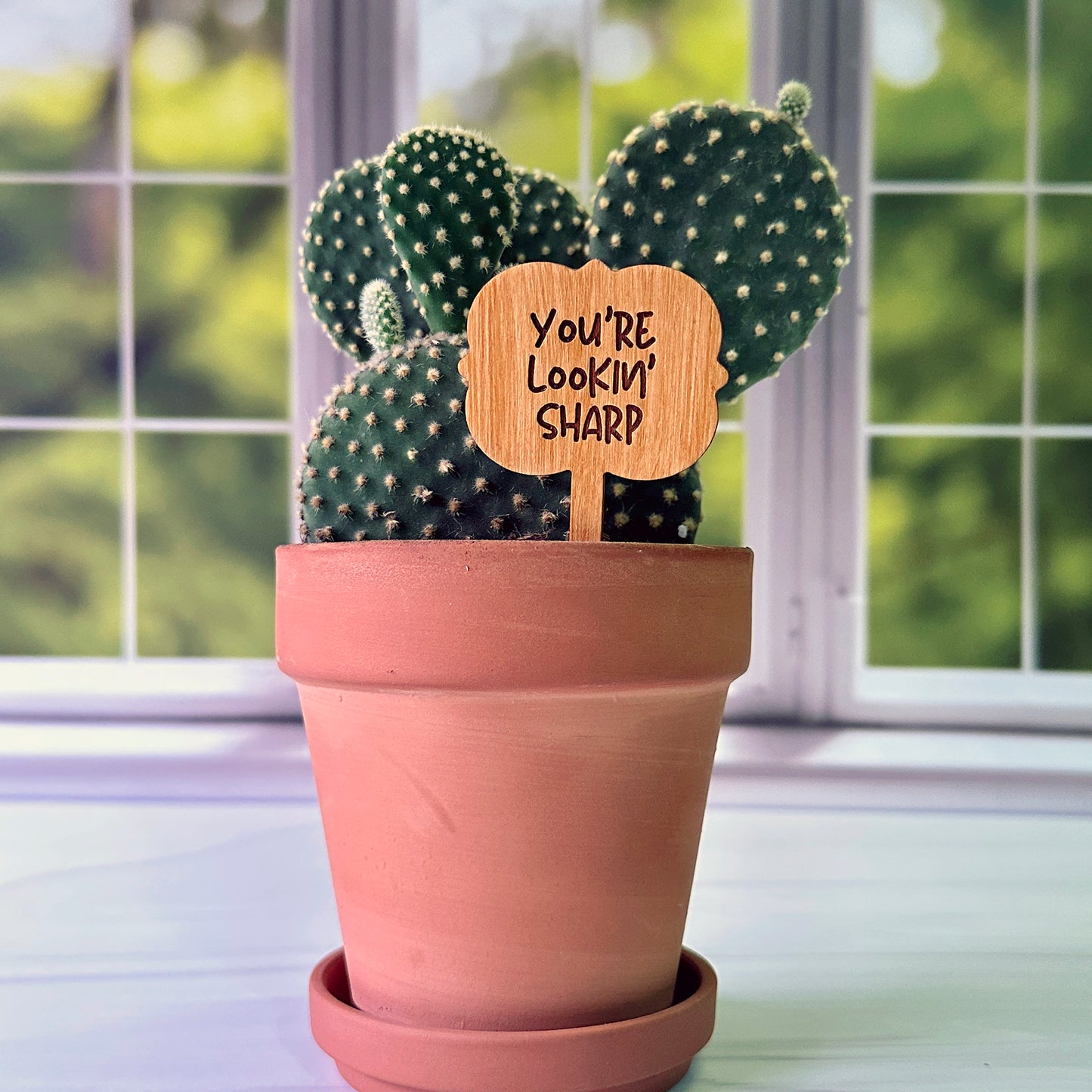 Ornate Shaped Funny Succulent Plant Markers