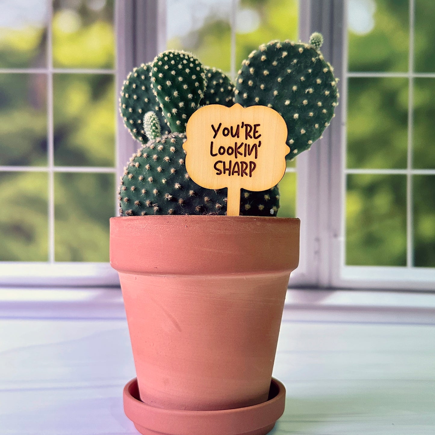 Ornate Shaped Funny Succulent Plant Markers