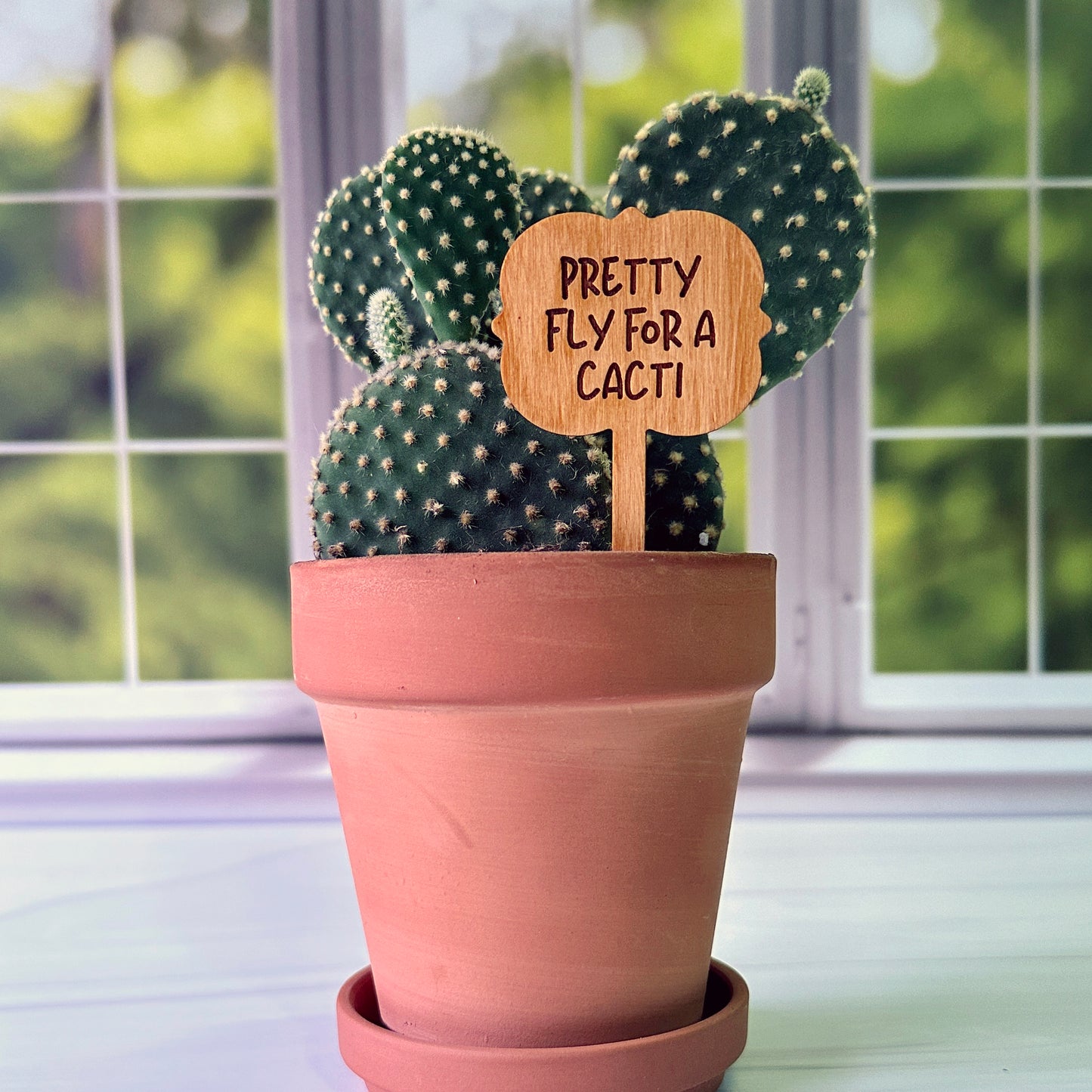 Ornate Shaped Funny Succulent Plant Markers