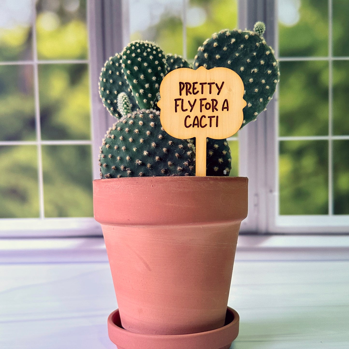 Ornate Shaped Funny Succulent Plant Markers
