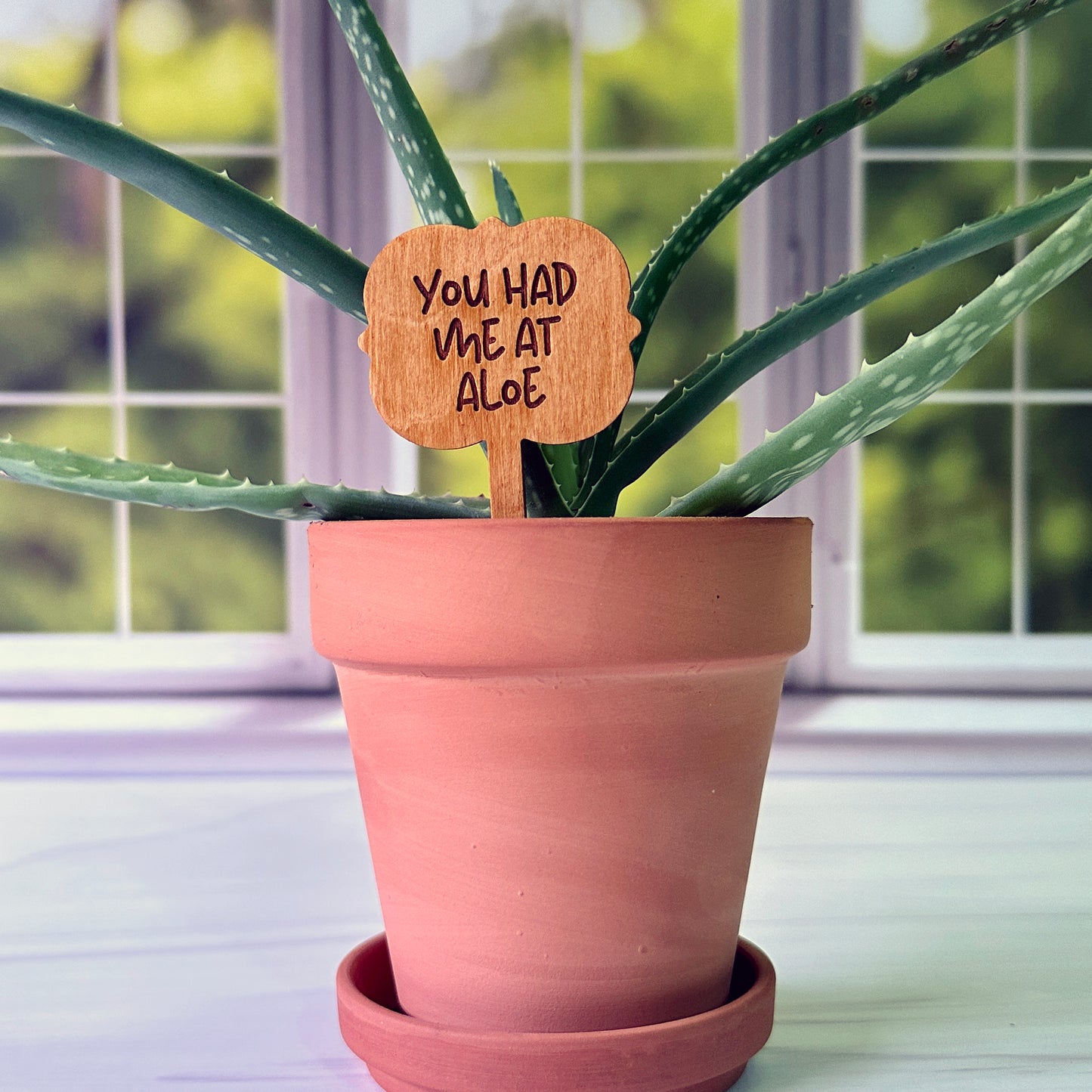 Ornate Shaped Funny Succulent Plant Markers