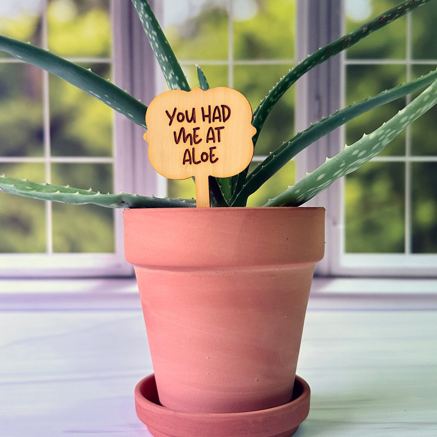 Ornate Shaped Funny Succulent Plant Markers