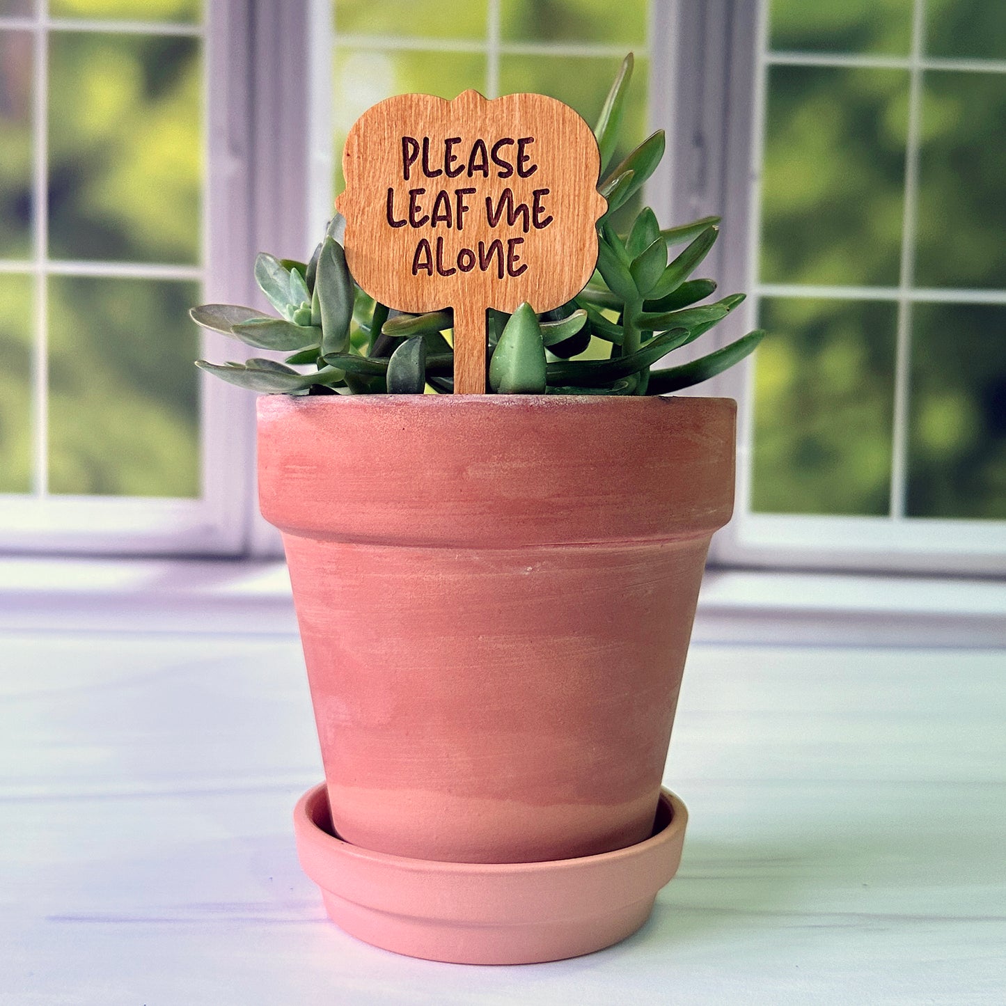 Ornate Shaped Funny Succulent Plant Markers
