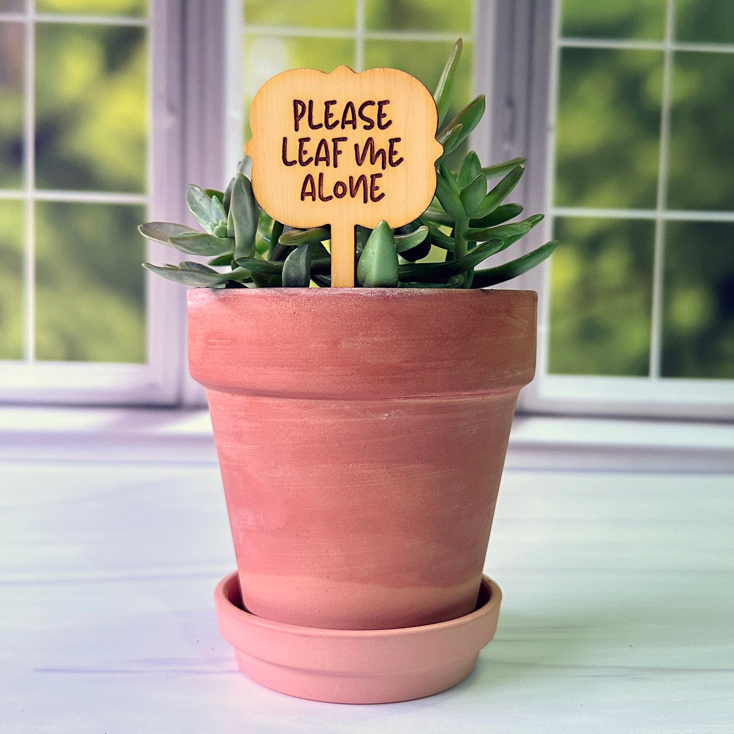 Ornate Shaped Funny Succulent Plant Markers