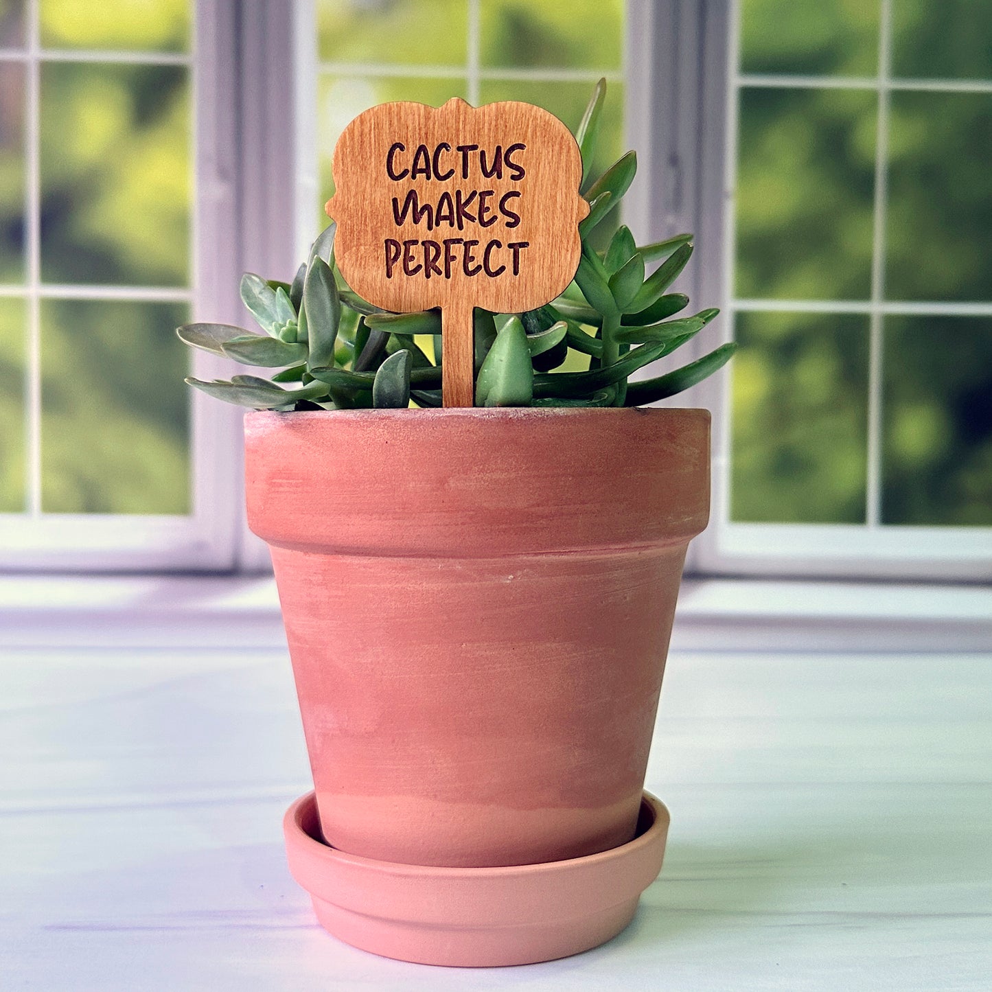 Ornate Shaped Funny Succulent Plant Markers
