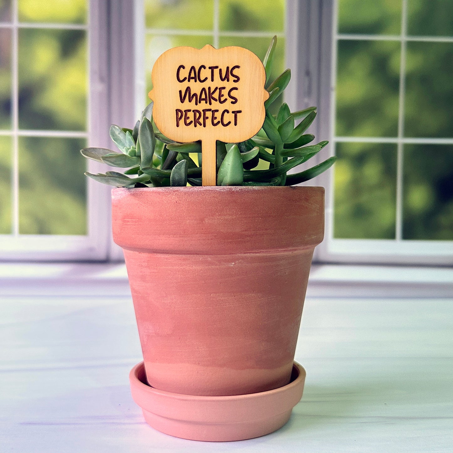 Ornate Shaped Funny Succulent Plant Markers