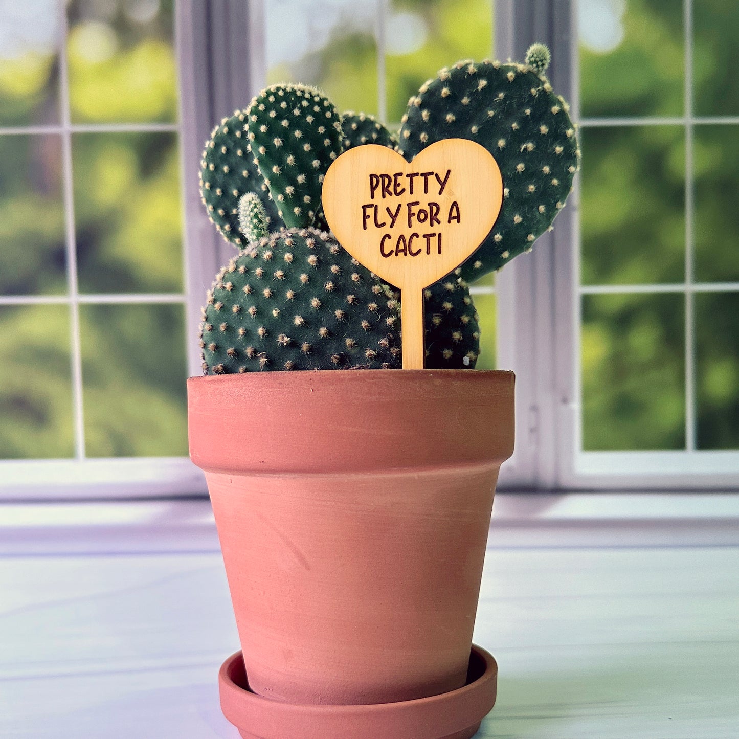 Heart Shaped Funny Succulent Plant Markers