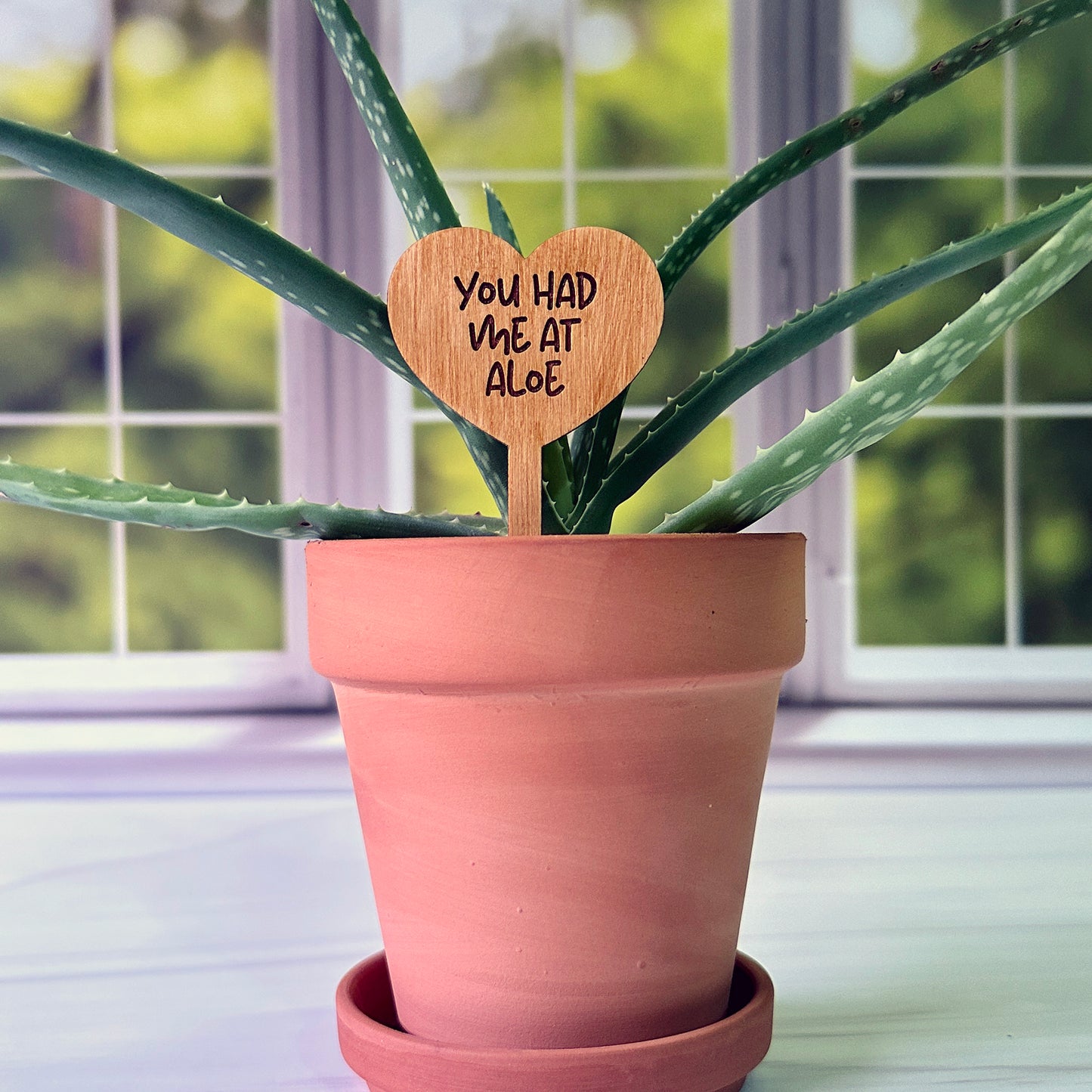 Heart Shaped Funny Succulent Plant Markers