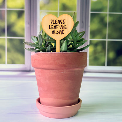 Heart Shaped Funny Succulent Plant Markers
