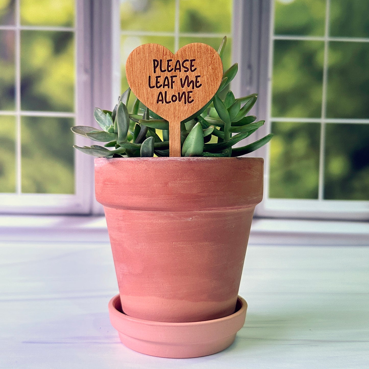 Heart Shaped Funny Succulent Plant Markers