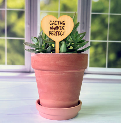 Heart Shaped Funny Succulent Plant Markers