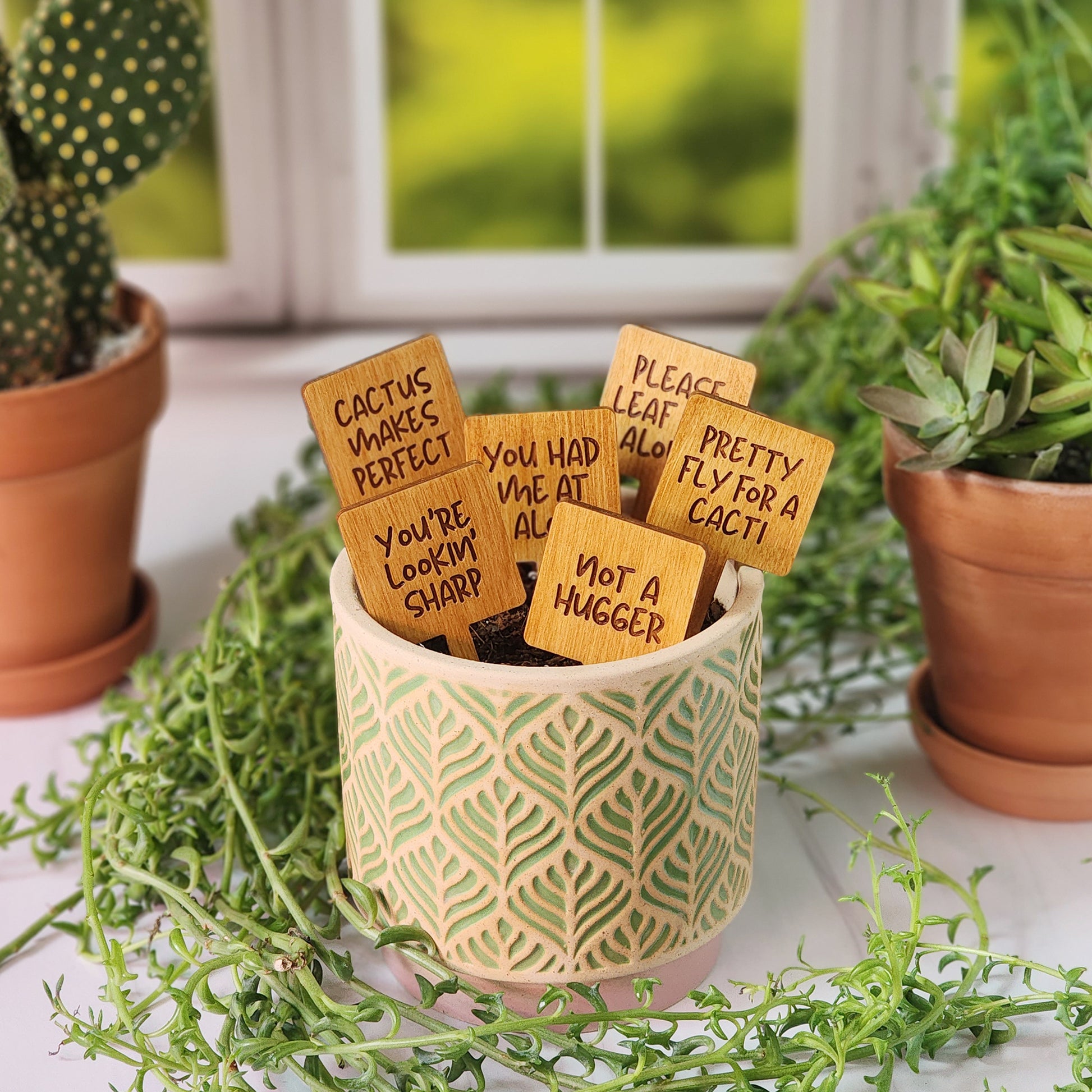 square shaped succulent Square Shaped Funny Succulent Plant Markers Phrase 1 / Unfinished